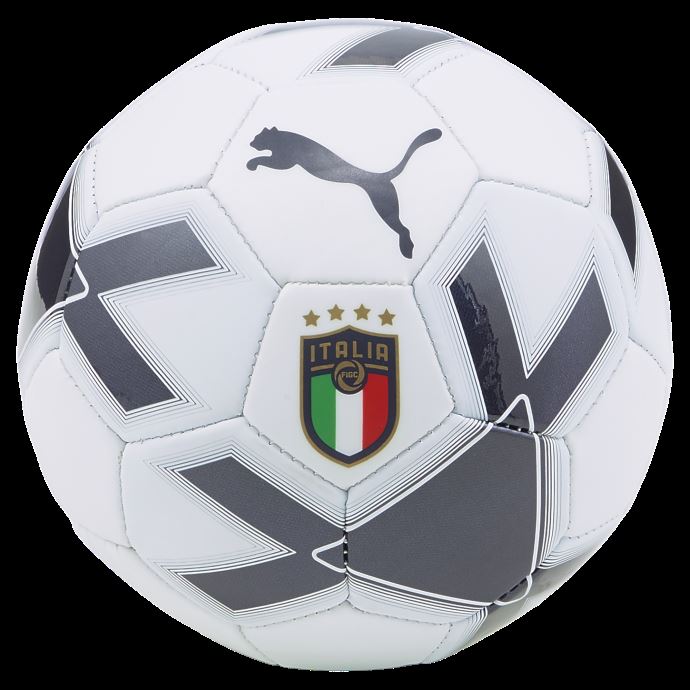 Puma Canada Italy Mini Cage Football Blanc-peacoat