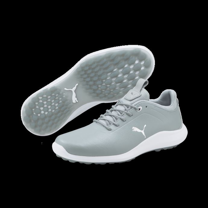 Chaussures De Golf Ignite Pro Pour Hommes Quarry-silver-quarry Puma Canada

