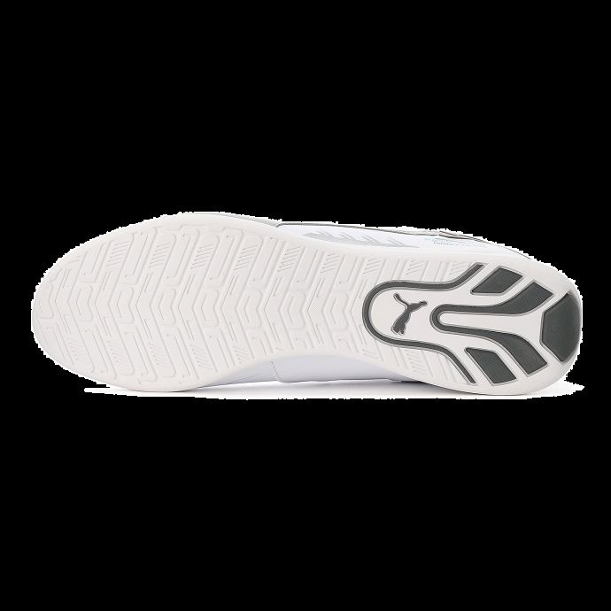 Mercedes F1 Drift Cat Delta Motorsport Chaussures Blanc-mercedes Team Argent Puma Canada
