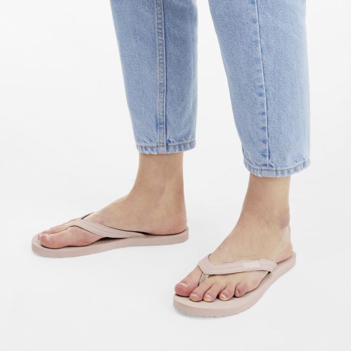 Sandales Cosy Flip Pour Femmes Puma Canada Eau De Rose-blanc