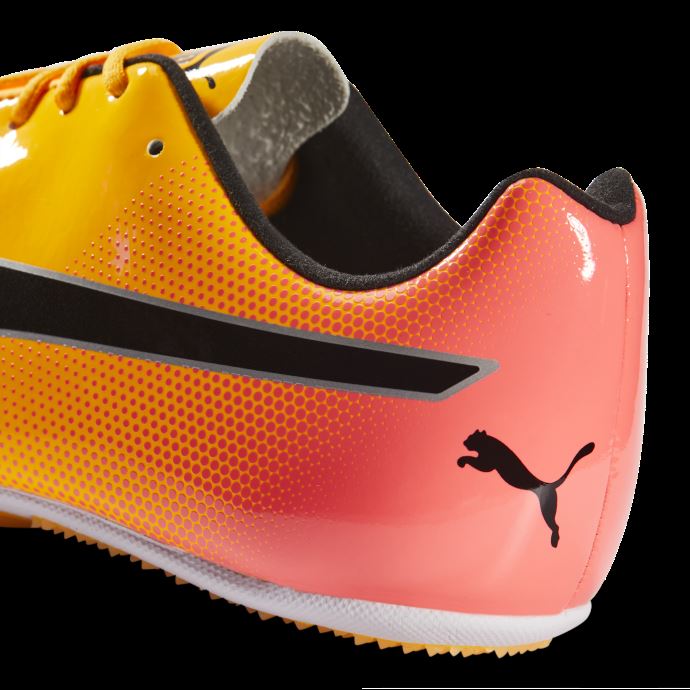 Puma Canada Sun Stream-sunset Glow-noir Evospeed Sprint 14 Chaussures D'athlétisme
