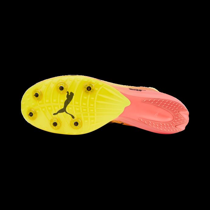 Sun Stream-sunset Glow-black Puma Canada Evospeed Distance Nitro Elite Pointes D'athlétisme
