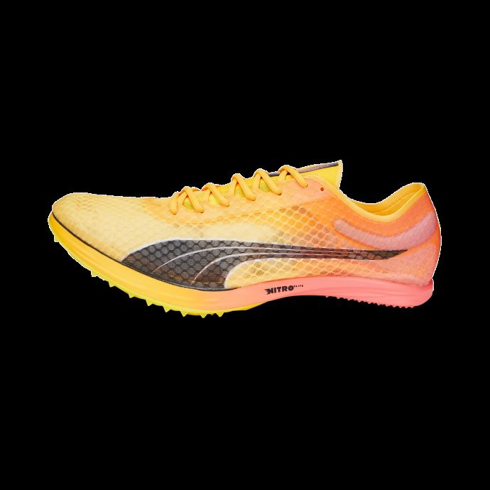 Puma Canada Sun Stream-sunset Glow-black Evospeed Distance Nitro Elite Pointes D'athlétisme