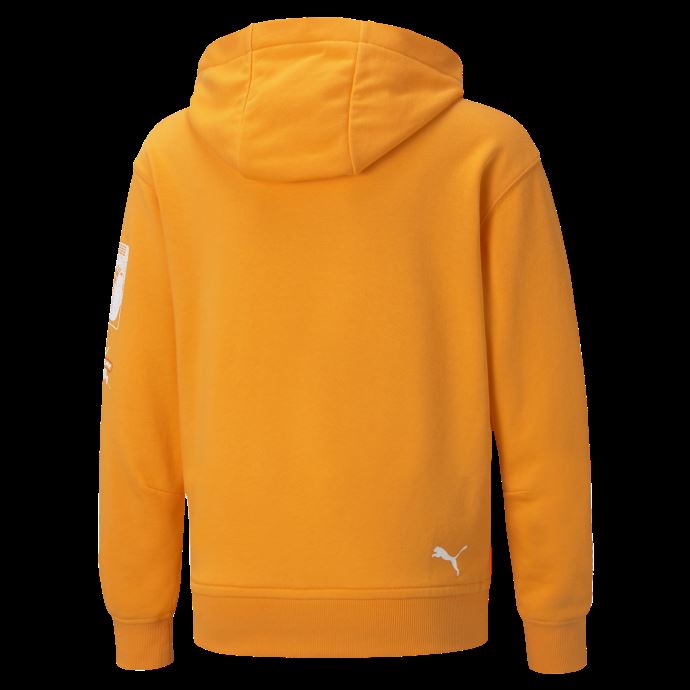 Sweat à Capuche Orange Vif Bmw M Motorsport Street Pour Enfants Puma Canada