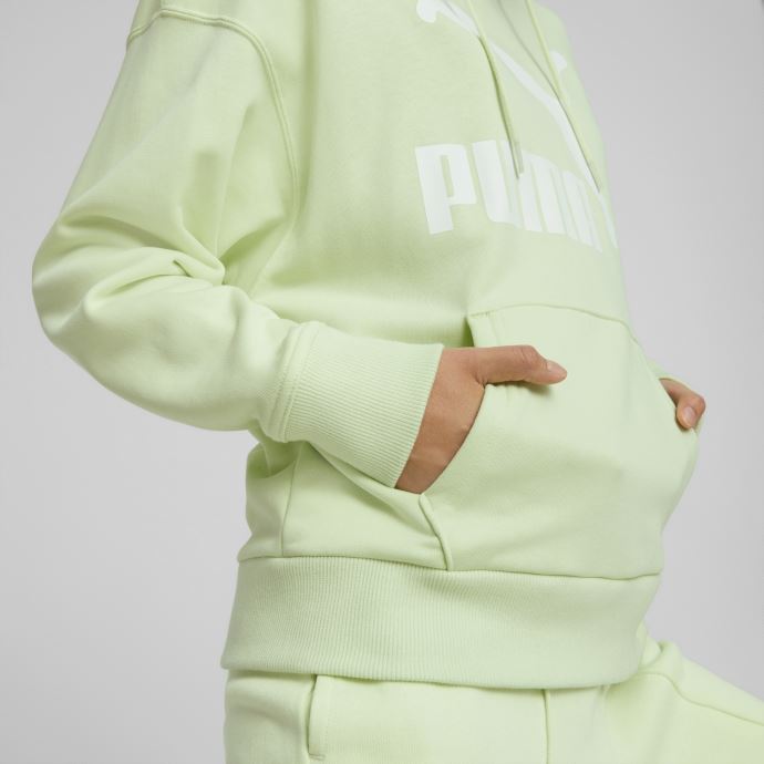 Sweat à Capuche Avec Logo Pistachio Classics Pour Femme Puma Canada

