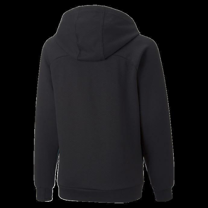 Noir Mercedes-amg Petronas Motorsport Formula One Hooded Sweat Jacket Puma Canada