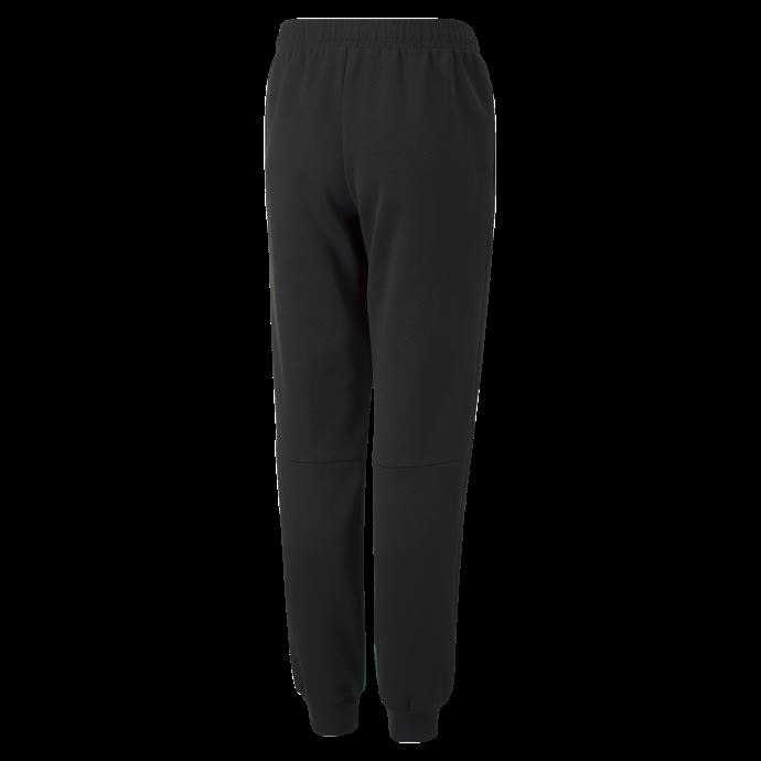 Pantalon De Jogging Mercedes-amg Petronas Motorsport Formule 1 Noir Puma Canada