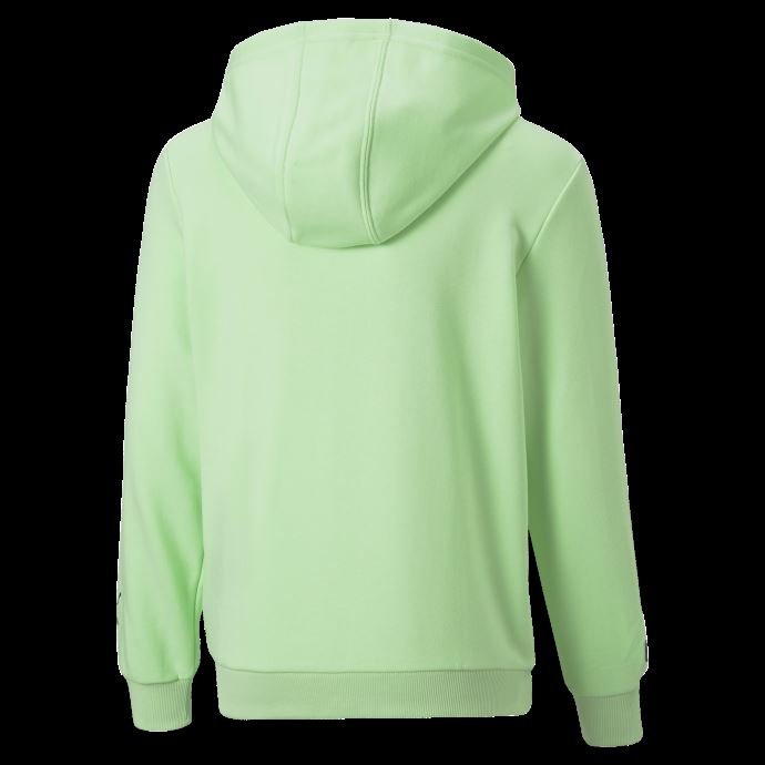 Mercedes-amg Petronas Motorsport F1 Logo Hoodie Jeunesse Puma Canada Paradis Vert