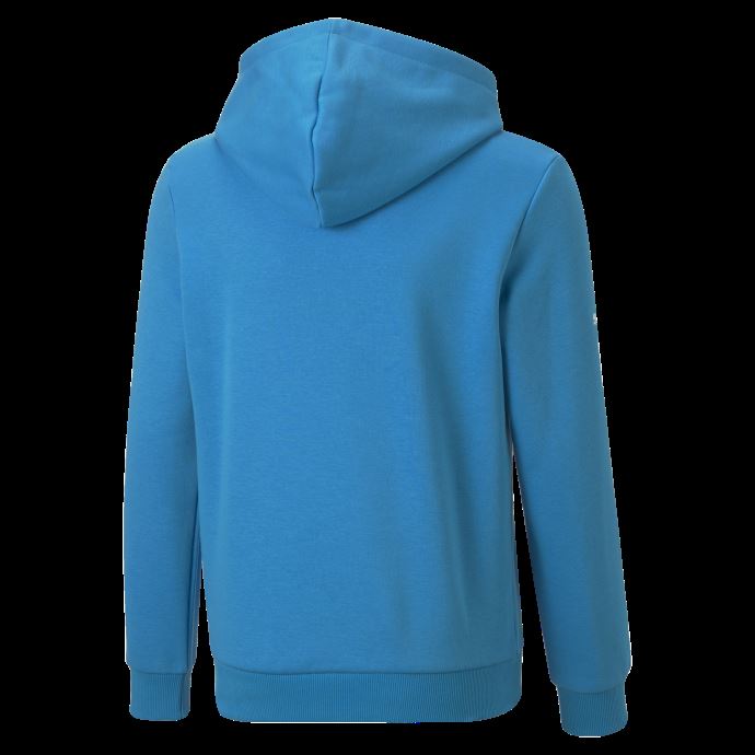 Puma Canada Bmw M Motorsport Essentials Hoodie Jeunesse