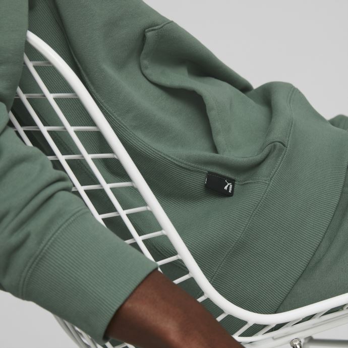 Sweat à Capuche Puma Canada Du Centre-ville Pour Hommes Forêt Profonde
