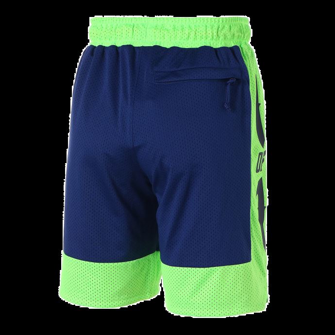 Short De Basketball Elektro Bleu-vert Gecko Puma Canada Rare Pour Homme

