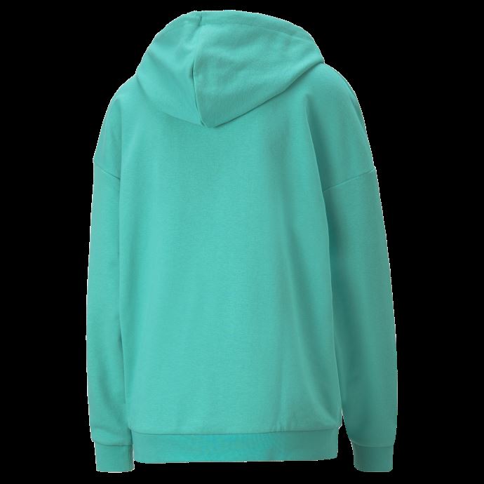 Sweat à Capuche Rétro Femme Puma Canada Vert Piscine