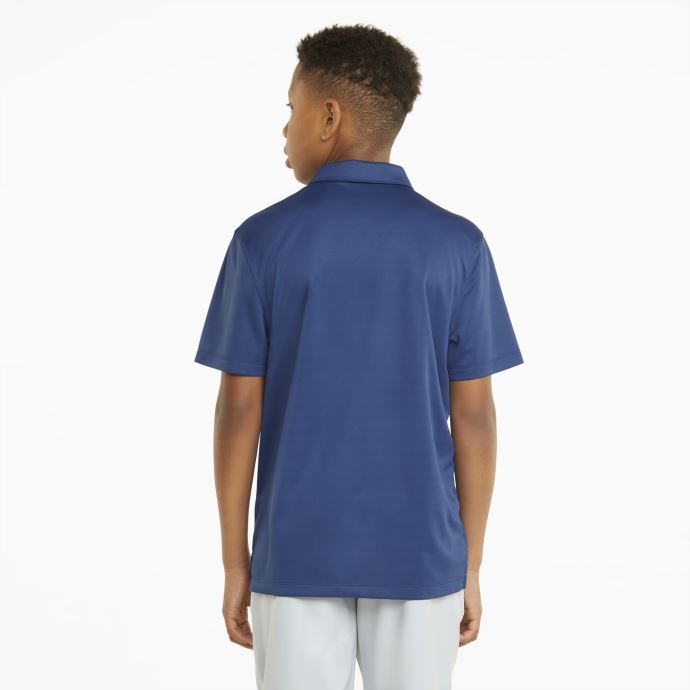 Polo De Golf Essentiel Bleu Flamboyant Pour Garçons Puma Canada