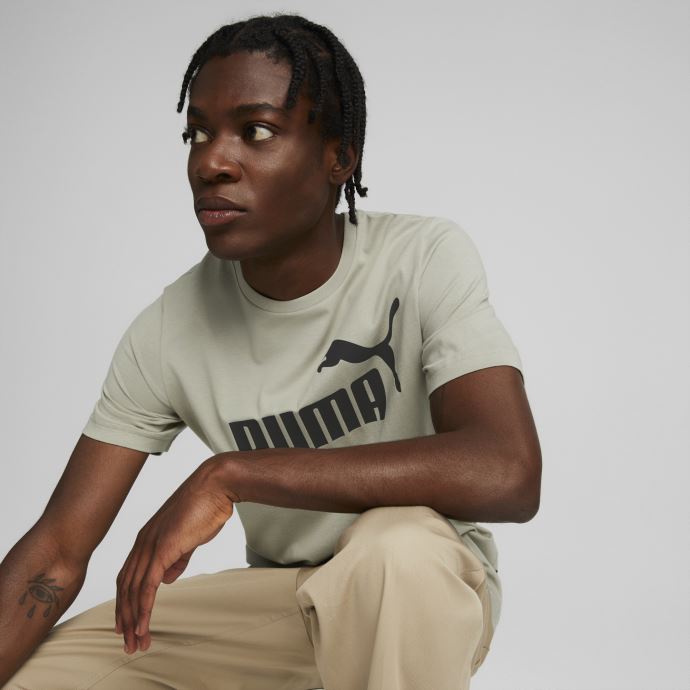 Puma Canada Essentials Logo T-shirt Pour Hommes Gris Caillou
