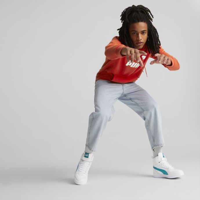 Sweat à Capuche Essentials Big Logo Burnt Red Pour Homme Puma Canada
