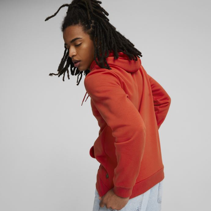 Sweat à Capuche Essentials Big Logo Burnt Red Pour Homme Puma Canada
