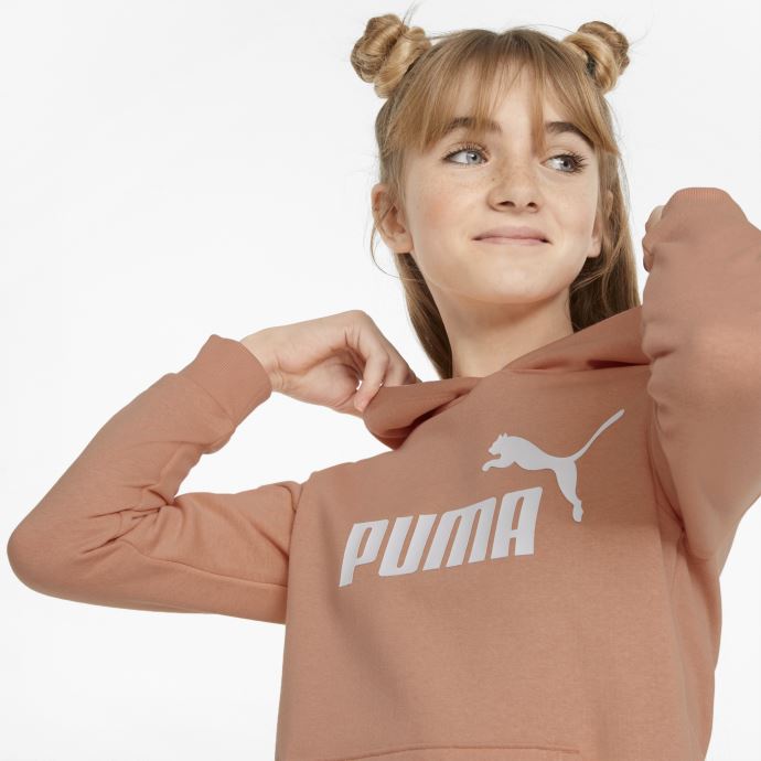 Sweat à Capuche Enfant Puma Canada Essentials Logo Pêche Rose
