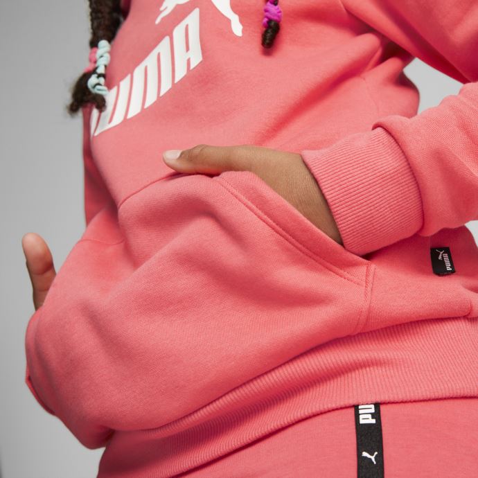 Sweat à Capuche Enfant Salmon Essentials Logo Puma Canada
