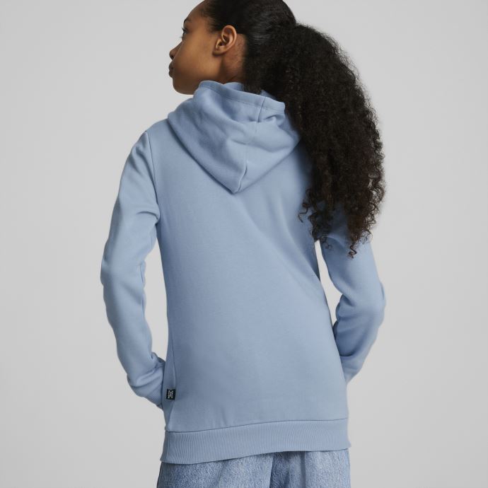 Sweat à Capuche Puma Canada Essentials Logo Enfant Bleu Délavé