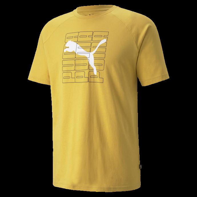 T-shirt Graphique Puma Canada Pour Hommes