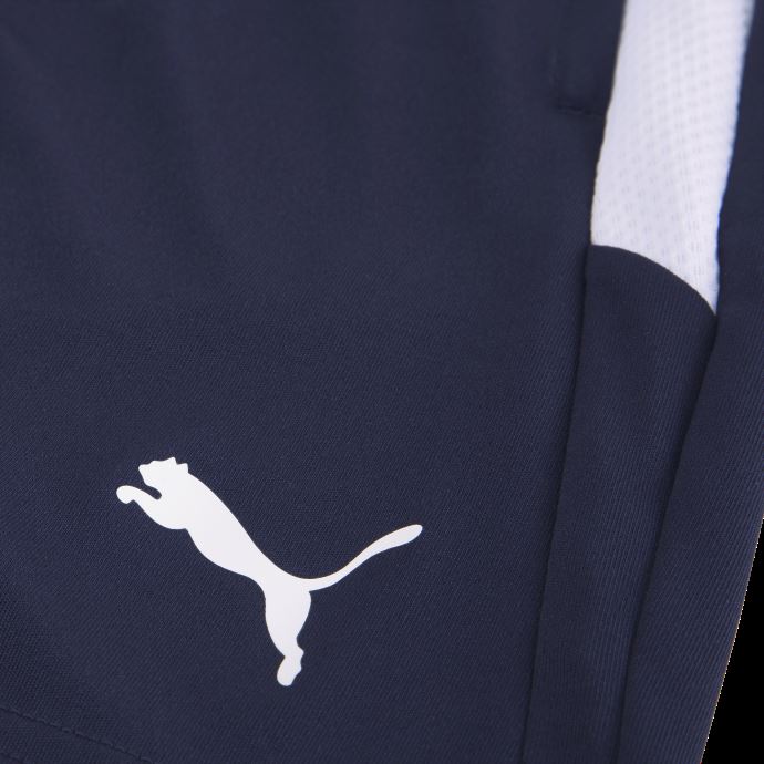 Puma Canada Peacoat-white Teamliga Short De Football Pour Jeunes
