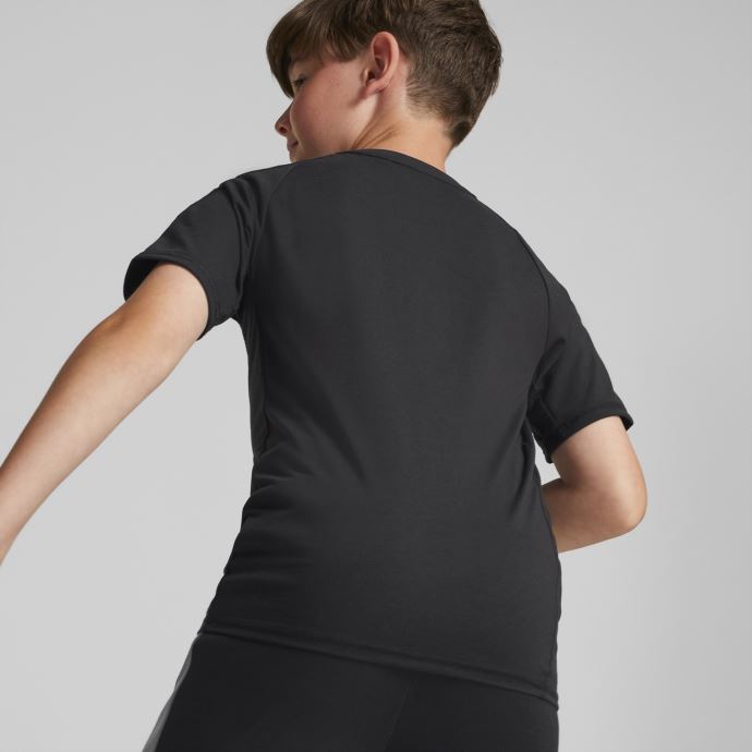 Tee Shirt Puma Canada Evostripe Noir