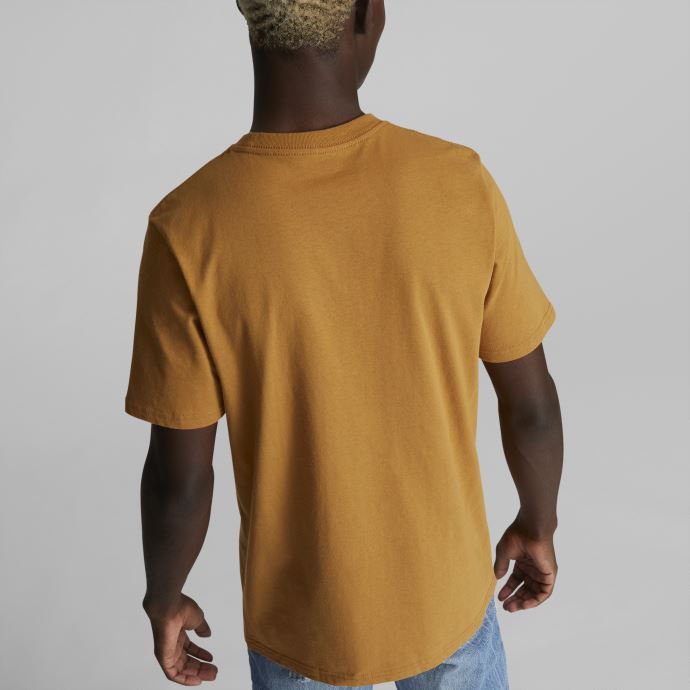 Tee Shirt Puma Canada Classics Logo Homme Desert Tan
