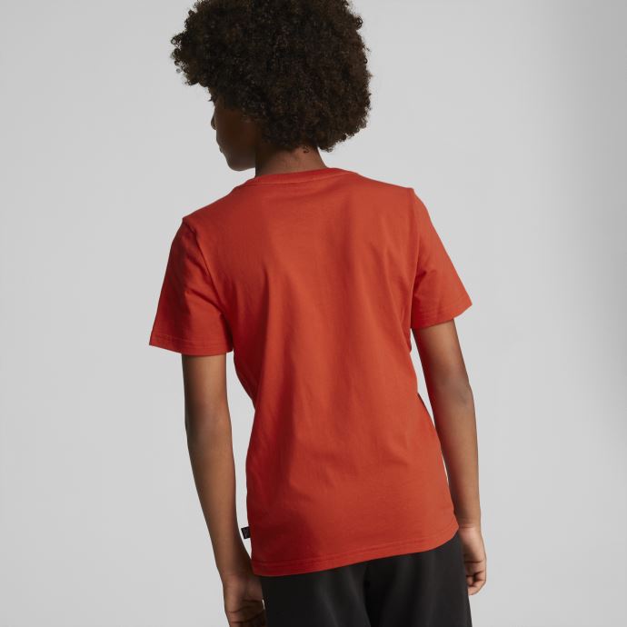 Puma Canada Burnt Red Essentials+ Logolab T-shirt Jeunesse