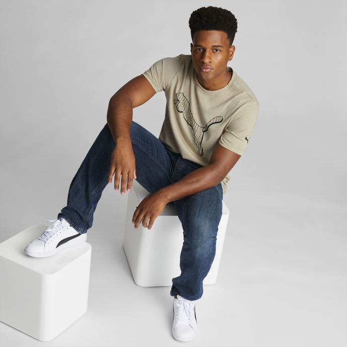 Puma Canada Cat Fill T-shirt Graphique Pour Homme Gris Caillou