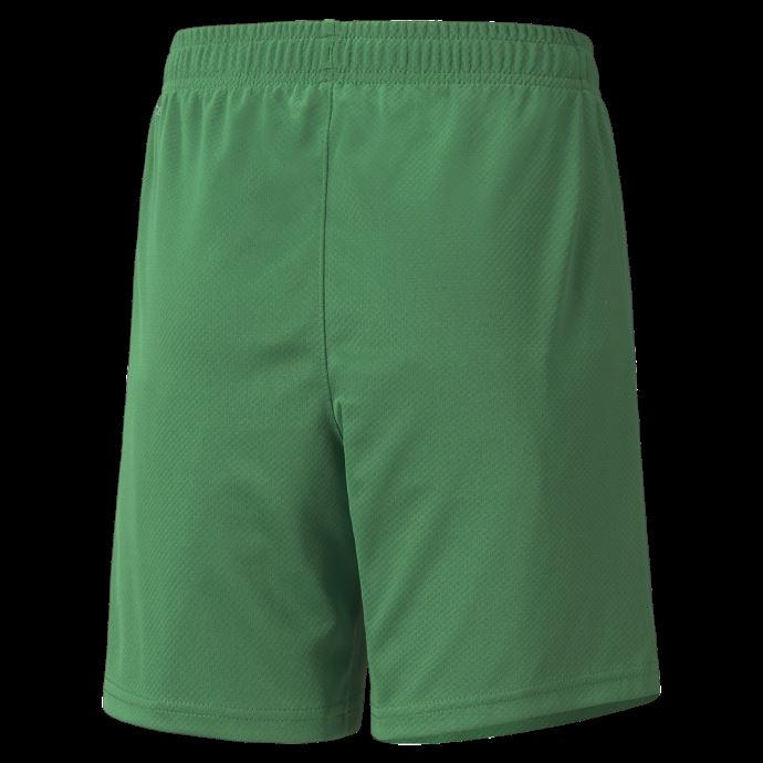 Puma Canada Man City Goalkeeper Replica Jeunesse Short De Football Amazone Vert-blanc