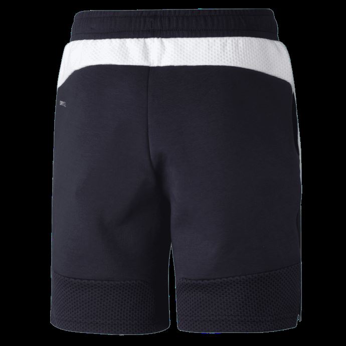Carlton FC Youth 8" Training Short Dark Navy-White-- Blues Puma Canada