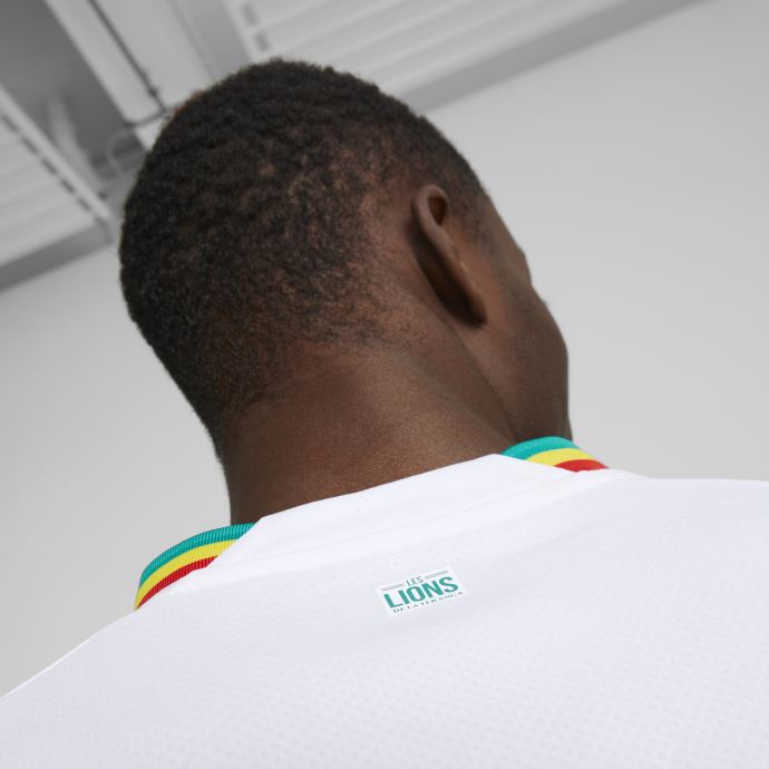 Maillot Senegal Home 22-23 Replica Hommes Blanc-vert Poivre Puma Canada
