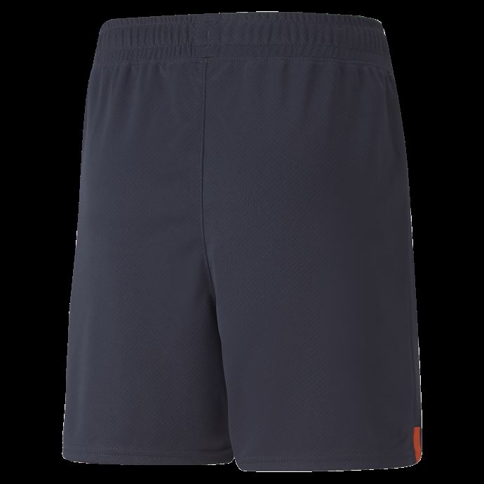 Puma Canada Parisian Night-bleu Azur Olympique De Marseille 22-23 Replica Shorts Youth