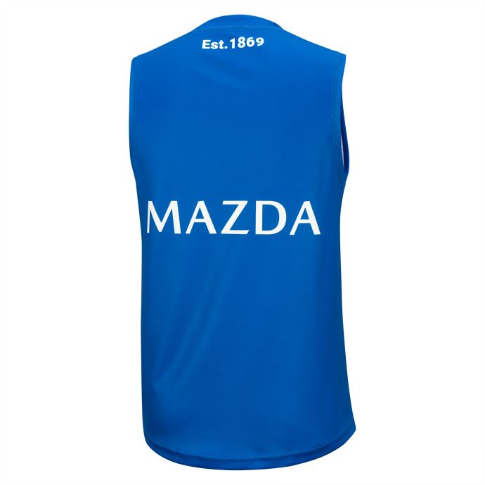 Puma Canada North Melbourne Fc Mens Replica Training Guernesey Surfer Sur Le Web-north Melbourne