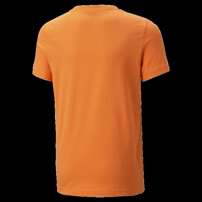 Fc Shakhtar Donetsk Football Ftblcore Tee Jeunesse Coquelicot Doré-noir Puma Canada