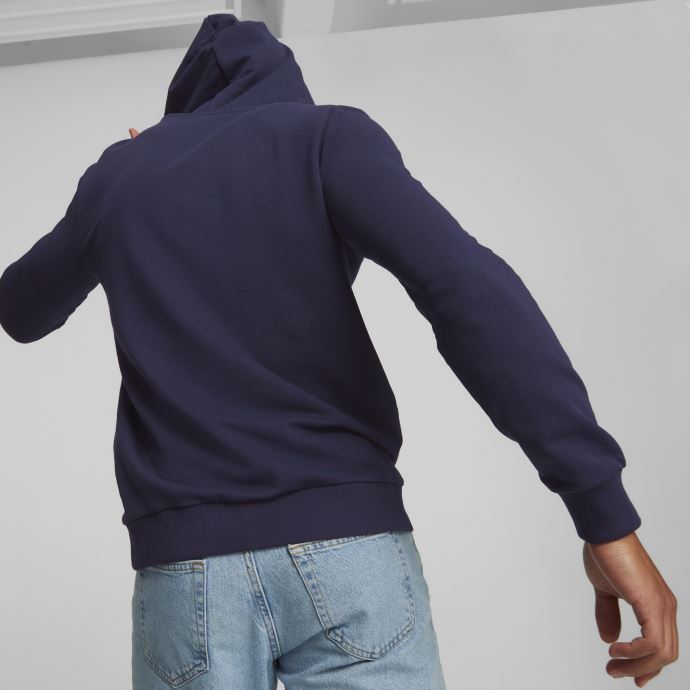 Peacoat Puma Canada République Tchèque Football Ftblcore Hoodie Hommes
