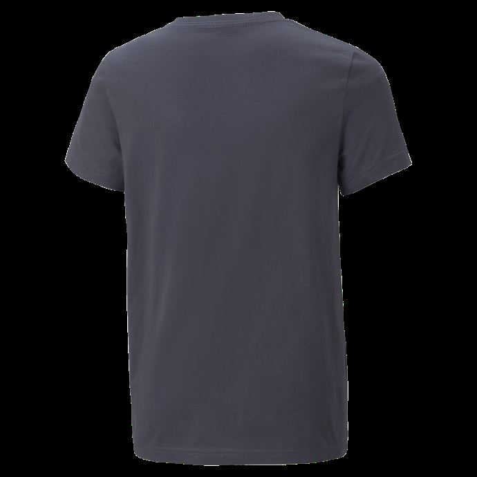 Puma Canada Manchester City F.c. Foot Ftblcore Tee Jeunesse Parisian Night-fizzy Light