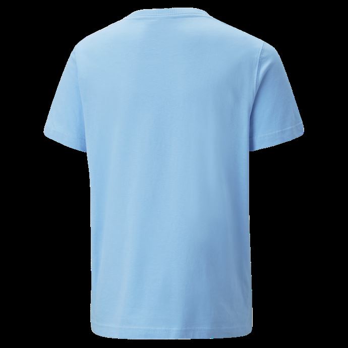 Manchester City F.c. T-shirt Ftblculture équipe Jeunesse Bleu Clair-blanc Puma Canada