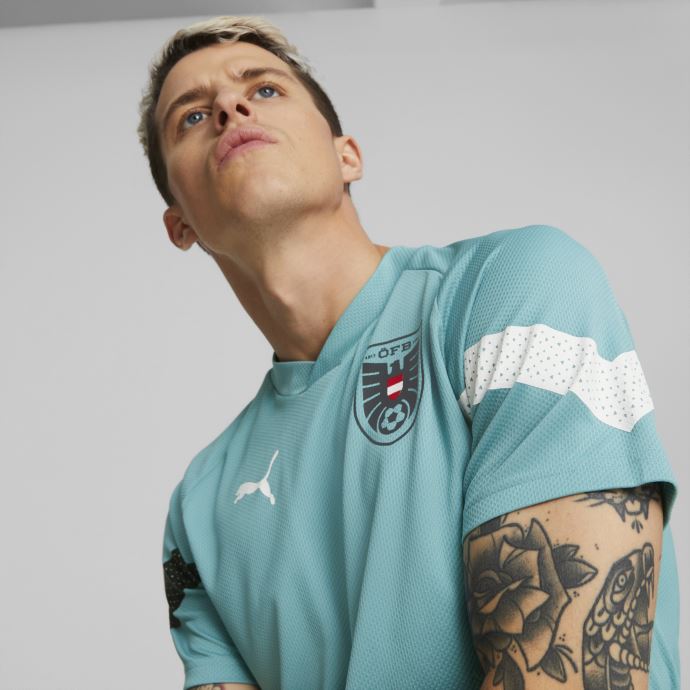 Maillot D'entraînement De Football Autriche Hommes Puma Canada Porcelaine-noir
