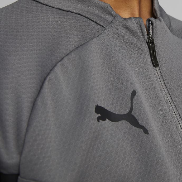 Borussia Dortmund Football Quart-zip Training Top Hommes Puma Canada Smoked Pearl