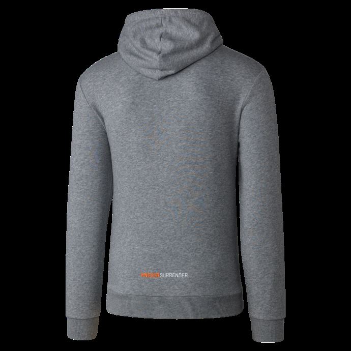 Sweat à Capuche Puma Canada Gws Giants Pour Hommes, Charbon Chiné--gws
