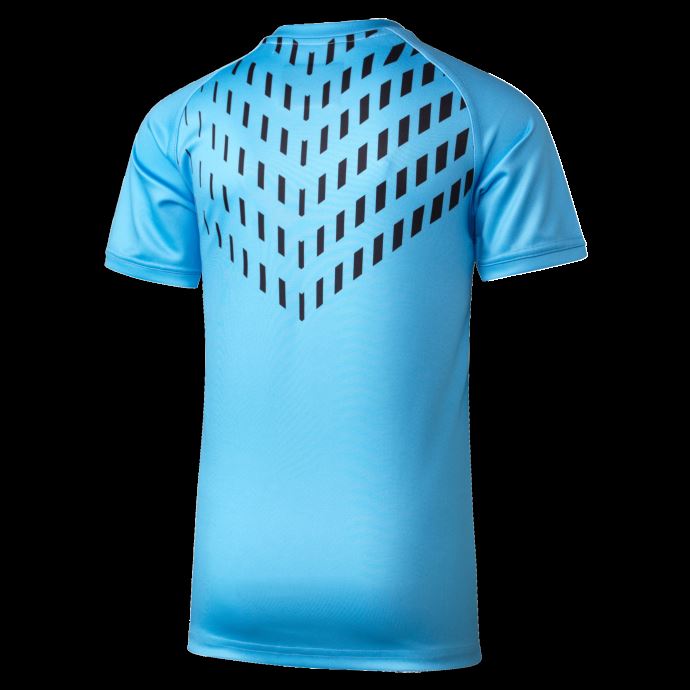 Puma Canada Nsw Blues Jeunesse Réplique Maillot D'entraînement Bel Air Bleu-nsw Blues