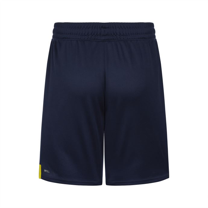 Puma Canada Fenerbah E S.k.22-23 Replica Shorts Hommes Bleu Médiéval-argent