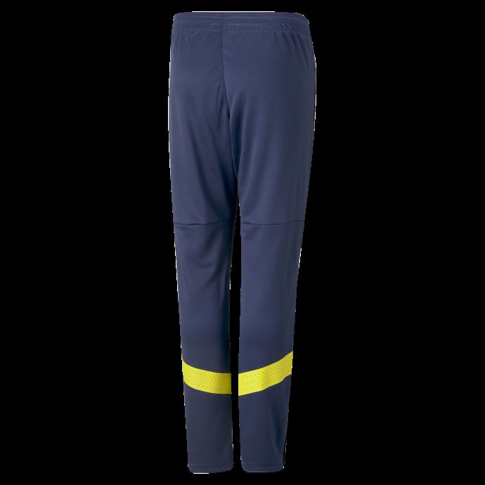 Médiéval Bleu-jaune Flamboyant Fenerbah E S.k. Pantalon D'entraînement Puma Canada