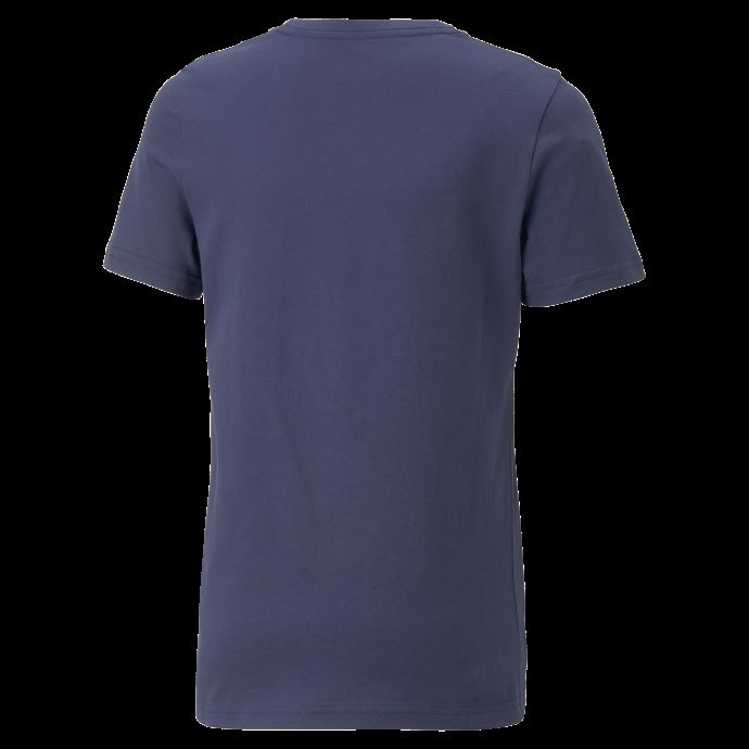 Fenerbah E S.k. Ftblcore Tee Jeunesse Puma Canada Bleu Médiéval-jaune Flamboyant