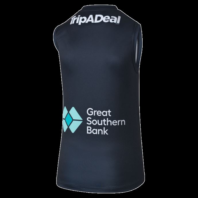 Carlton Football Club Femme Réplique Domicile Guernesey Puma Canada Dark Navy-cfc