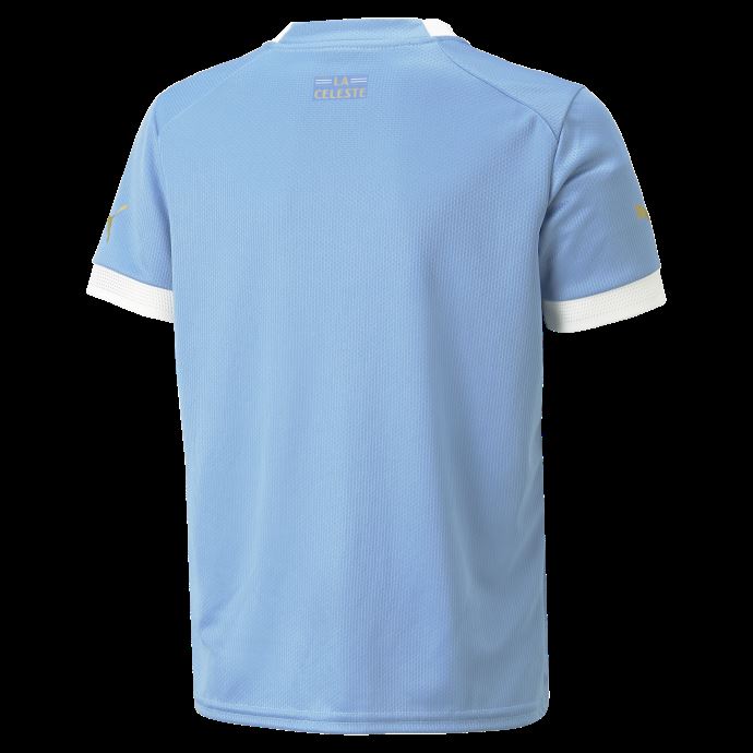 Argent Lac Bleu Puma Canada Uruguay Domicile 22-23 Réplique Maillot Jeunesse