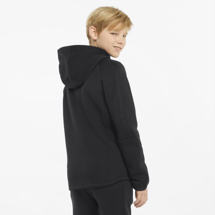 Evostripe Full-zip Sweat à Capuche Puma Canada Noir