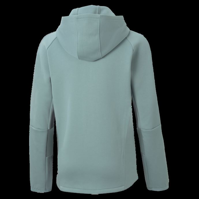 Sweat à Capuche Zippé Evostripe Jeunesse Mineral Blue Puma Canada