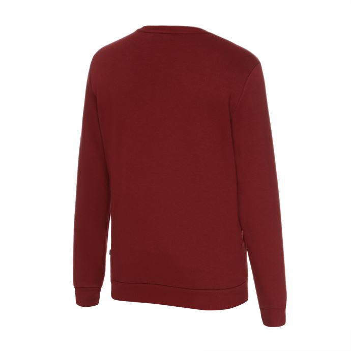 Sweat-shirt Puma Canada Essentials Ras Du Cou Pleine Longueur Pour Hommes Grenade
